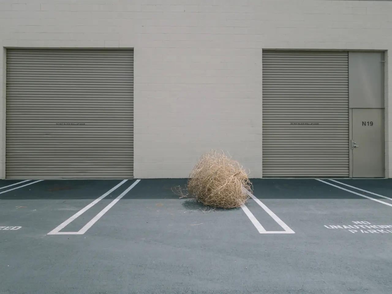 Chaotic conclusion to fiber optic expansion: Insights from a resident in the Nordhausen area