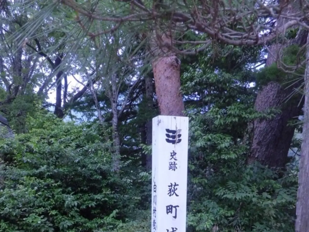 Log4j Vulnerability Zero-Day Risk: Identification and Countermeasures for CVE-2021-44228