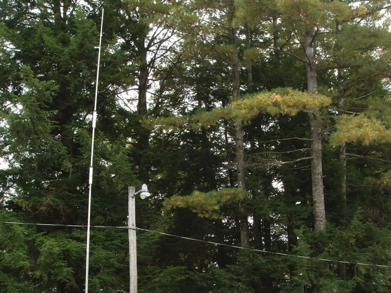 Vehicle Support Systems: An Explanation of Caravan Stabilizers and Their Operation