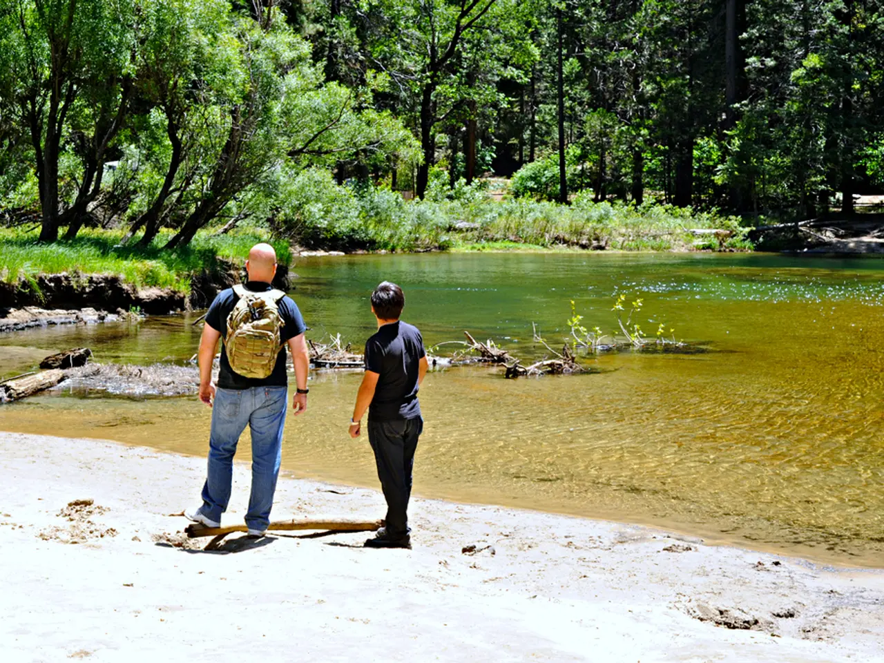 Financial Experts Advise Congress on the Necessity for Banks to Combine Forces Against Deceptive...