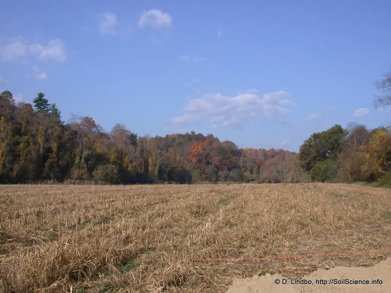 In this picture I can see farm field. I can see trees. I can see clouds in the sky.
