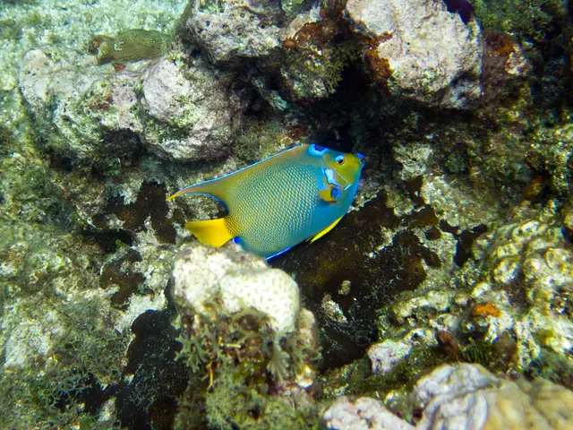 Revealing Moment: Conception of the Mind - An In-depth Analysis