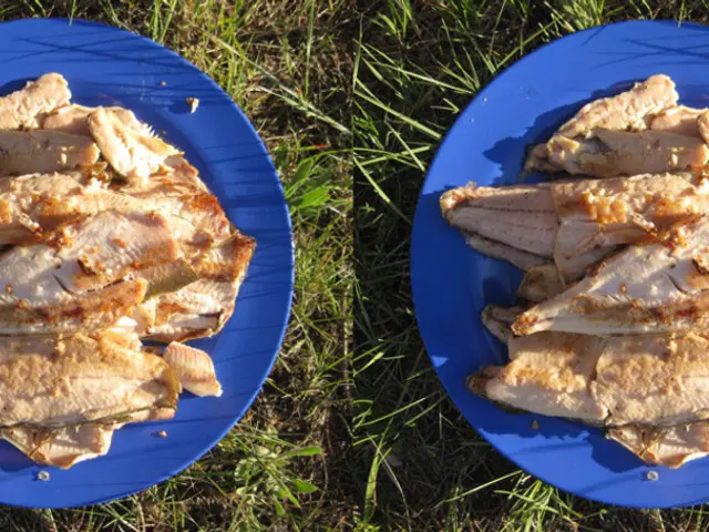 Unraveling the Innovation: 3D-Printed Animal Tissue for Edible Substitutes