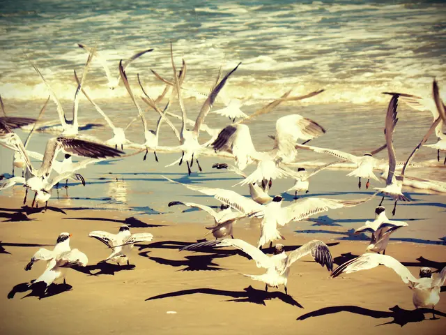 Artificial light disrupts avian brain function, similar to harmful pollution.