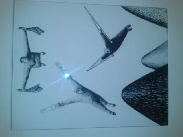 The impact of framing in visual designs on where people look, seen particularly in the context of...