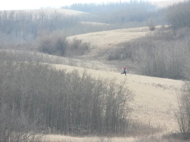 Executing JavaScript in Terminal Simplified: A Step-by-Step Guide