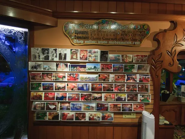 Wooden Satellite Manufactured in Japan Endured in Orbit for 116 Days; Scientists Seek Improved...