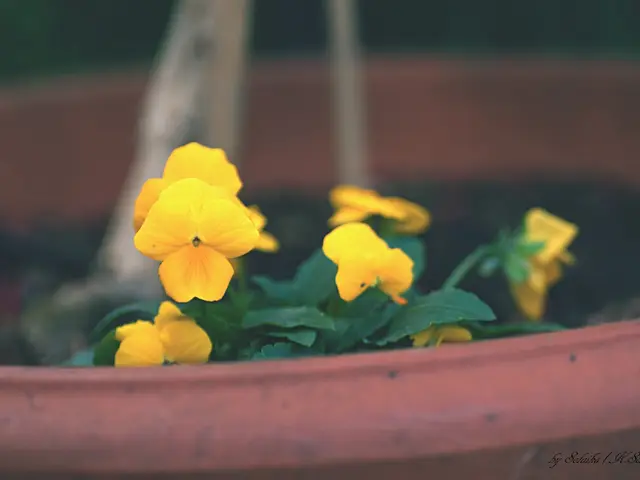 Post-Photoshoot Processing: Unraveling the Transformations Following the Capture