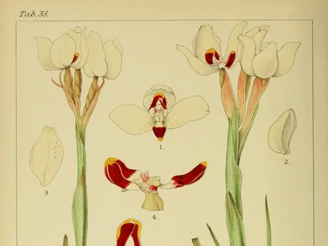 "Eighth Edition of 'No Bees, No Life' Periodical Released on Our Site"