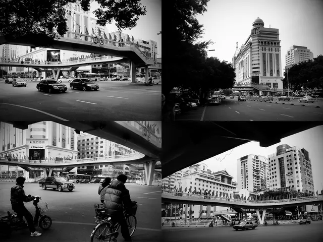 Empowering Industries Driven by Operations Through Low-Code/No-Code Development