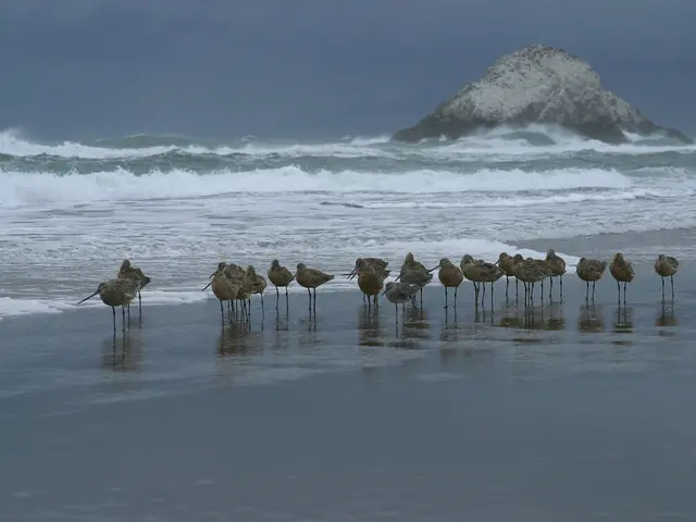 Summer's "shooting star" show begins with the Perseid meteor shower this week. Learn how to witness...