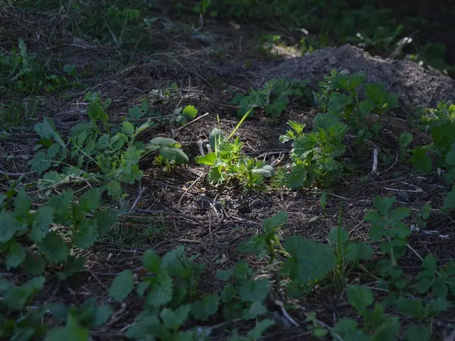 Chemistry That's Friendly to the Environment: Innovative Methods for Creating Chemicals