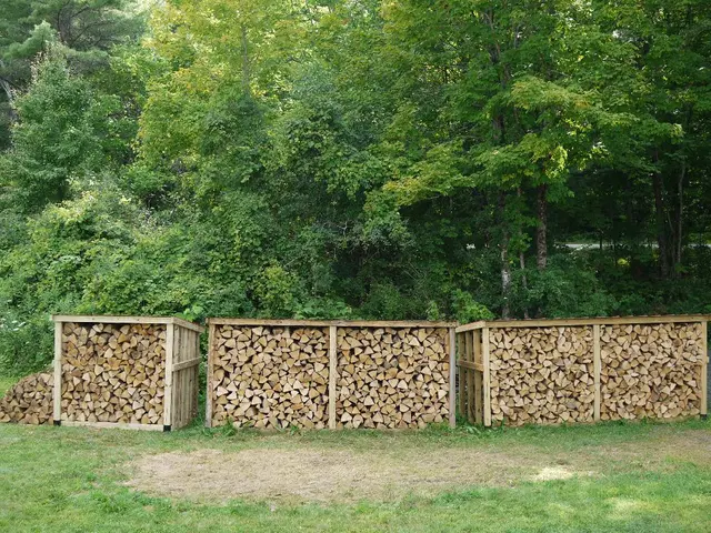 Practical Tutorial on Python's Logging System