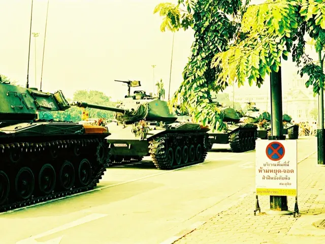 Monitoring from Space: Identifying the Objects and Entities Surveilled by Satellites