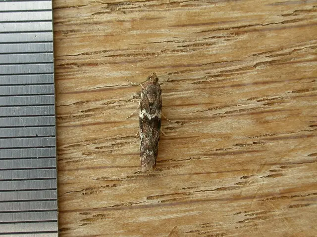 Malicious XML payload used in web part for critical Remote Code Execution (RCE) vulnerability of...