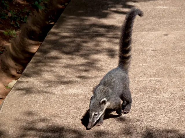 Impact of Caffeine on Plant Growth and Soil Quality