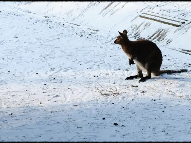 Largest Land Sale on GBM Auctions Kicks Off Through The Sandbox Platform