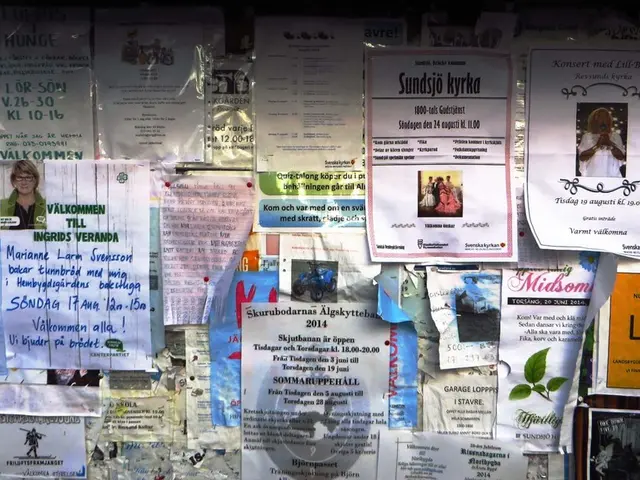 Live launch of Shibarium Alpha Layer Testnet; Notable statistics for performance assessment