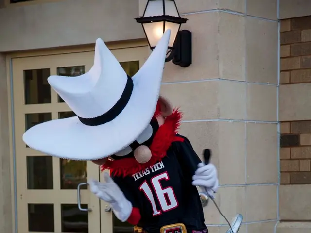 What Amazon Echo model is the ideal choice for you?