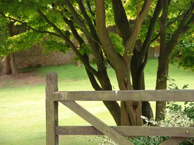 Developing Necessary Eco-Friendly Skills for Tomorrow's Job Market