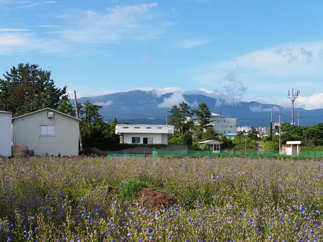 Soaring solar power and energy storage systems are reinforcing Puerto Rico's electrical network...