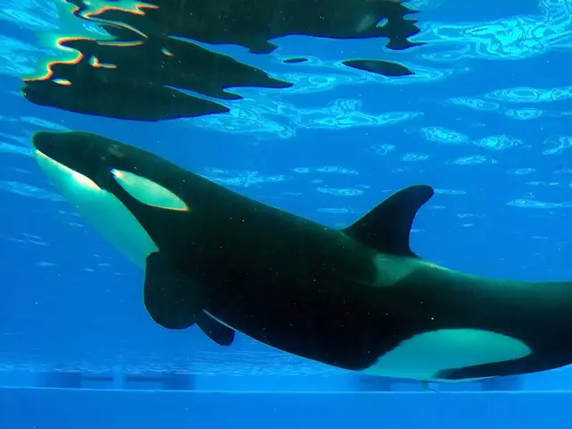 Upbit's Decision to Move XRP Prompts Alarm, Could It Be the Cause of Ripple's 15% Price Decline?