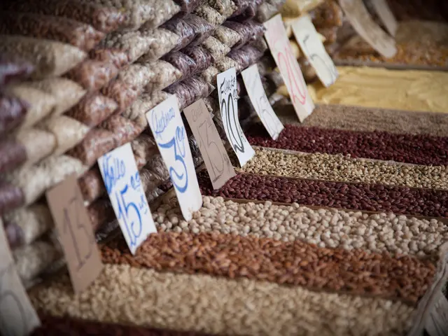 Home-brewing Essentials: Detailed Information on Brewing Beer with Barley and Malt