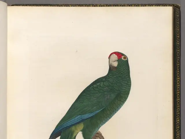 Avoid investing in Palantir's stock prior to researching, experts advise