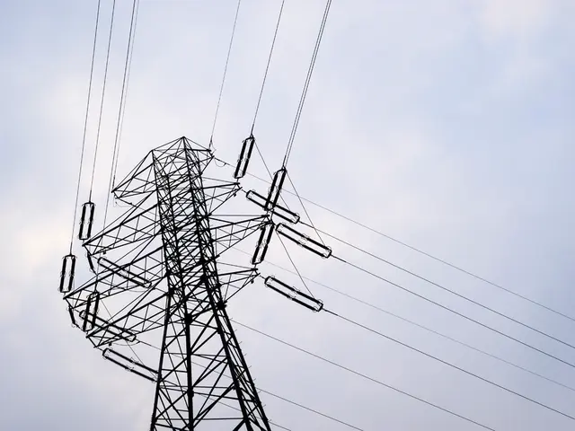 Global Disruption Experienced by Starlink Users Across the Globe