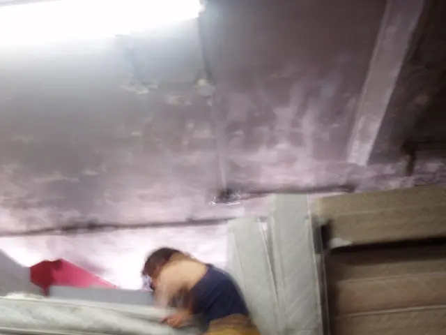 Discover Your Ideal AR Mattress Dimensions: A Tool That Helps You Match Bed Sizes Instantly!