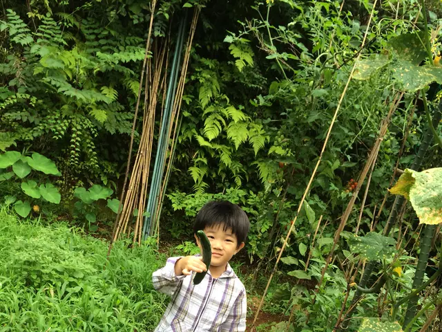 Questions for Software Testers Interviewing About Cucumber Testing