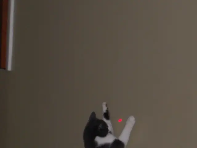 US researchers hasten the pace of enormous lasers through a groundbreaking advance in electron...