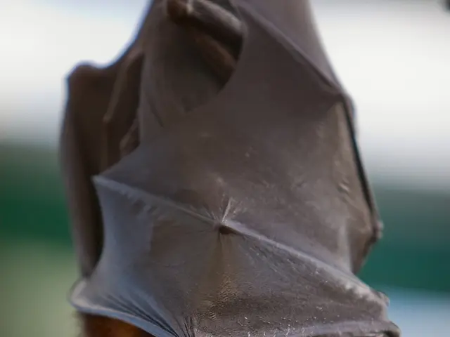 Employed macro bellows in my camera setup for the first time, capturing astonishingly detailed...