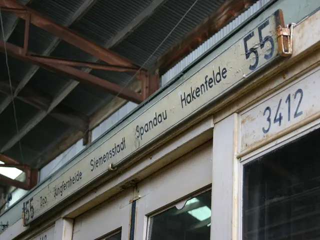 Domain Name Selection Approach