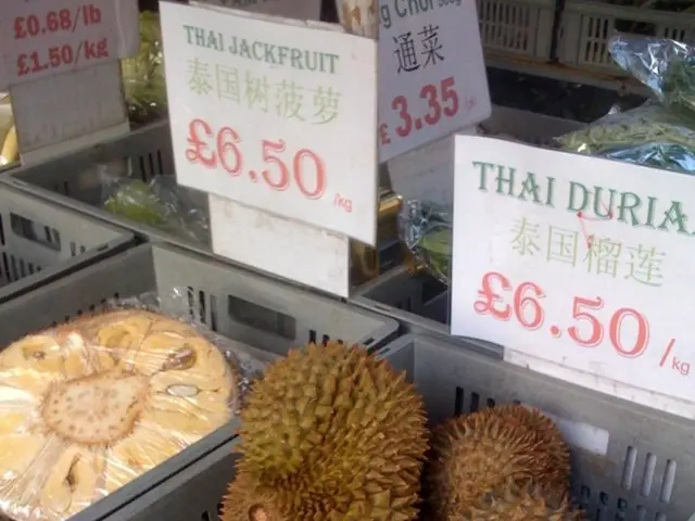 Shibarium now enables the creation of personalized blockchains through the new Shib Rollups...