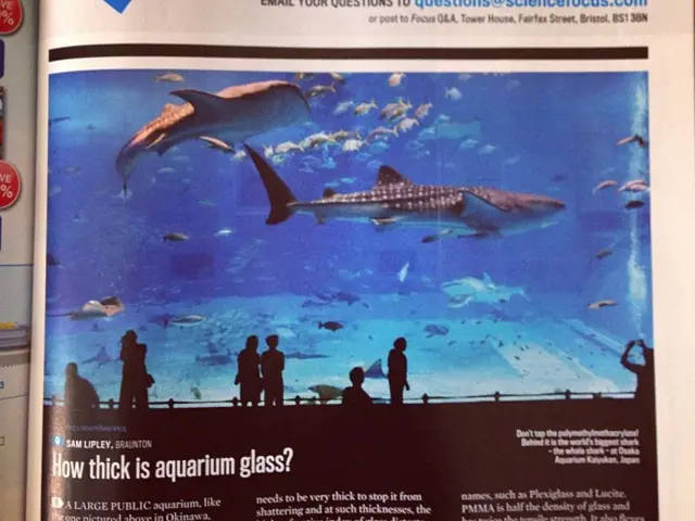 Court in UK denies artist's last appeal following his fabricated apology regarding fishing...