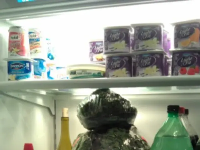 Energy company Magaldi and Enel X collaborate to construct a green energy storage facility