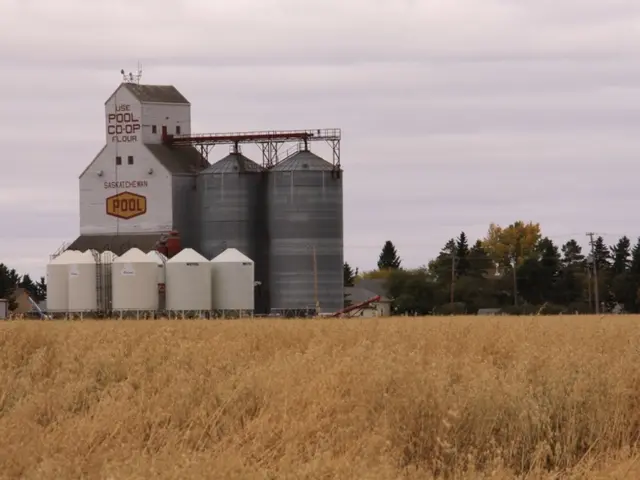 Green Hydrogen Production's Milestone: China's First 10,000-ton Refinery by LONGi Begins Operation