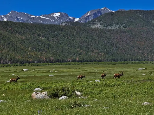 Restored forests in Yellowstone due to wolf presence, and the discovery of the biggest interstellar...