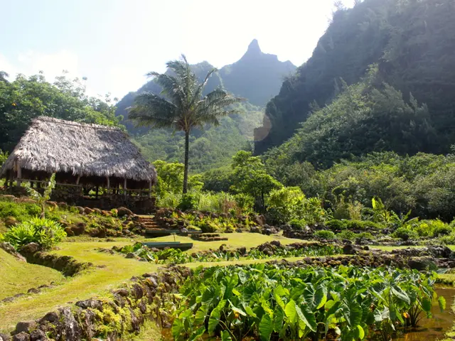 Collapse of Yellowstone's Thermal Crust Causes Severe Burning of a Teenager