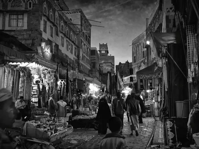 Kraken Pauses NFT Trading Platform for Dedication to Fresh Endeavors