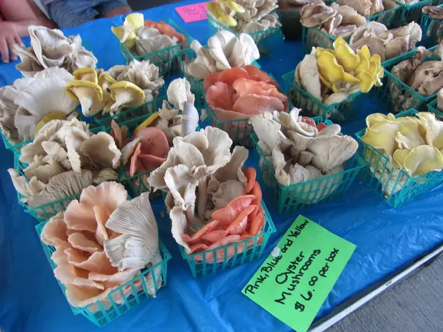 Production Cost Impact on XRP Pricing Examined, Query Arises: Is XRP Superior to Bitcoin?