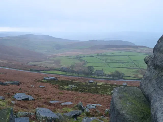 Investment Opportunities in the UAE Take Center Stage at the Investopia-Deutsche Bank summit