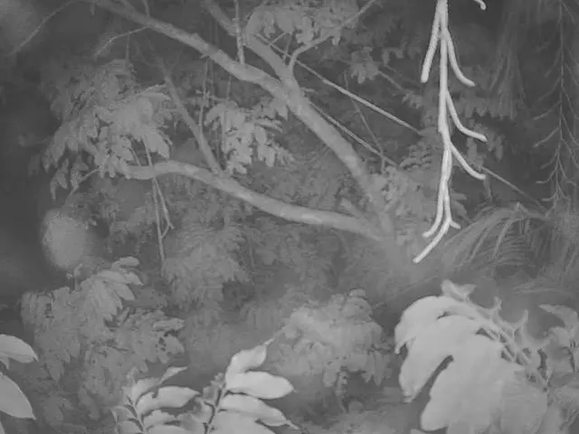 Java Data Structure: TreeSet