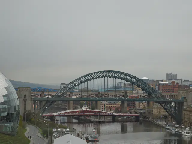 Long-term Survival Strategies Suggested by AI for Preserving the Human Race