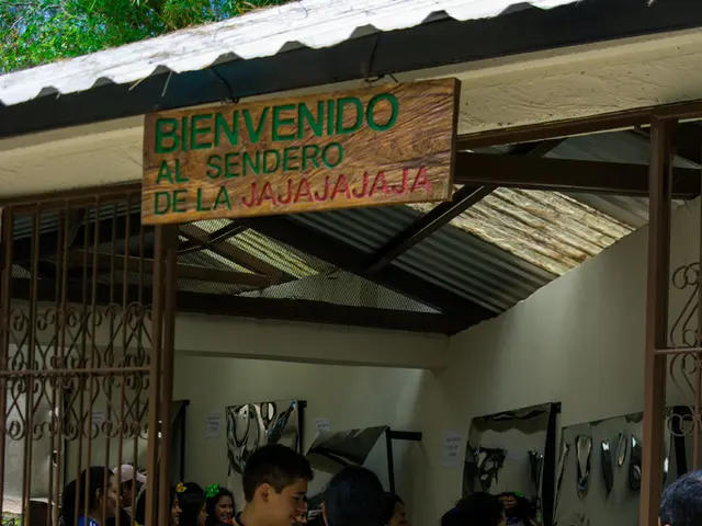 Global artisan market in Aba receives boost with Shoptreo's seed funding for international...