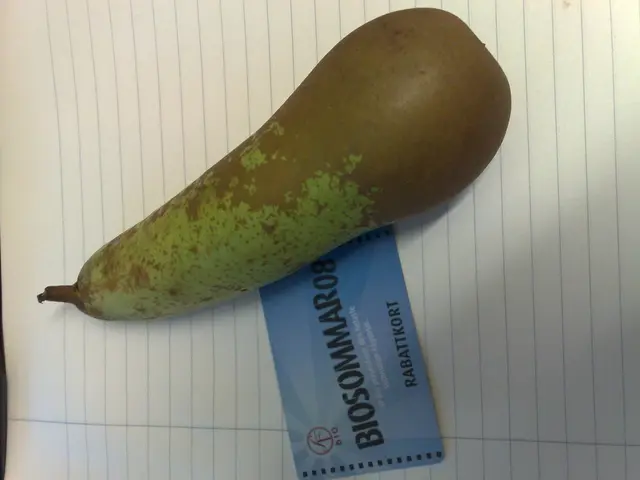 New appointment at GoCardless: Former Checkout.com executive takes on role as Chief Product Officer...