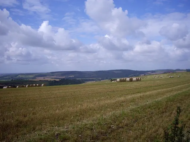 Astronomical physicists have successfully engineered the most potent magnetic power known in the...