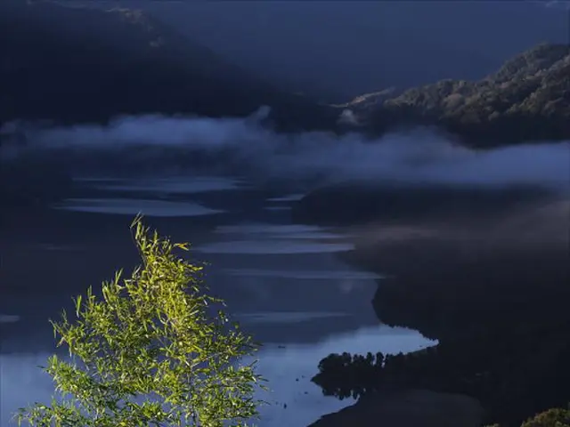 Global Hydrogen in the Southern Regions: Reality Check After the Excitement?