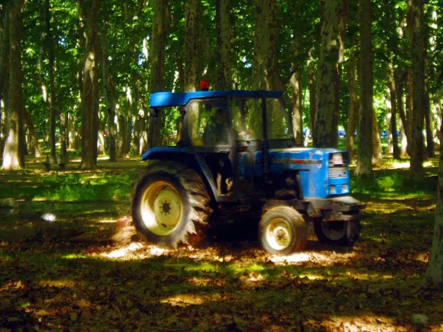 Mammotion's latest robotic lawn mower boasts an exceptional mapping system, unlike any other I've...